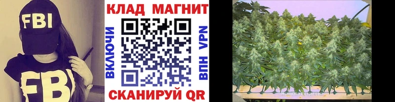 Купить наркотик Элиста Каннабис Мефедрон А ПВП ГАШ