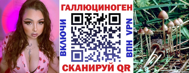 Псилоцибиновые грибы GOLDEN TEACHER  KRAKEN tor  Элиста  магазин продажи  