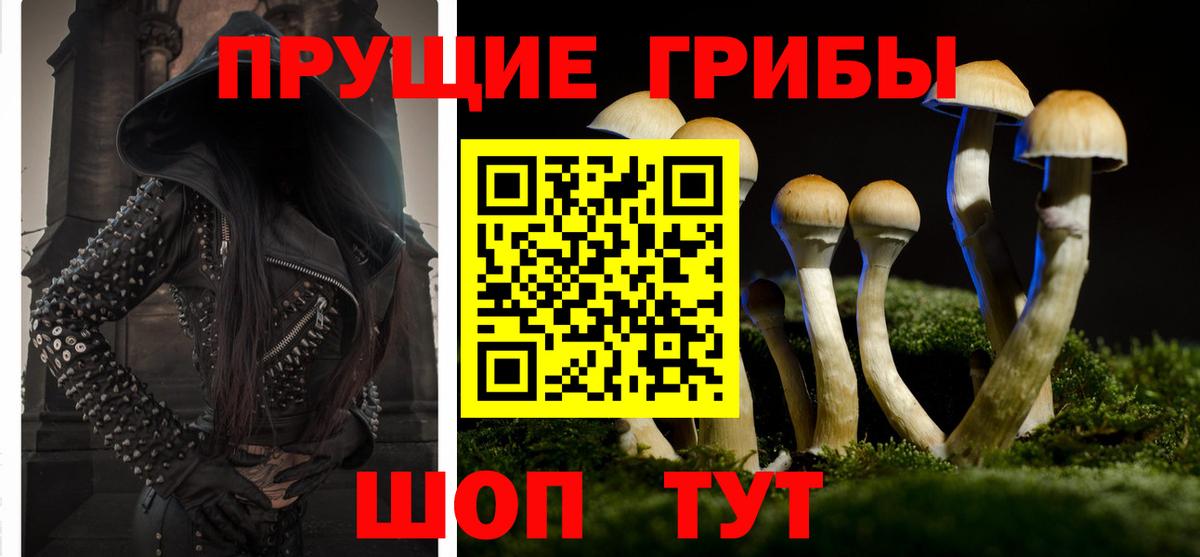 где найти наркотики  Галлюциногенные грибы мухоморы  Вход с VPN  Элиста 